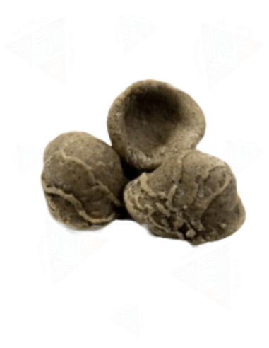 Orecchiette di grano arso