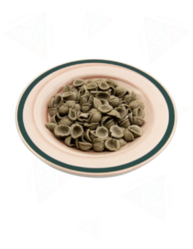 Orecchiette di grano arso